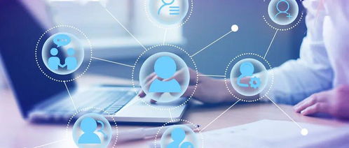 消保学堂 信息技术咨询服务详解