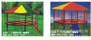 河南普乐教育科技 深耕跳床领域，赋能健康与快乐教育