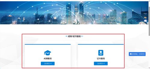 信息技术咨询 1+x成绩查询及职业技能等级证书下载超详细指南